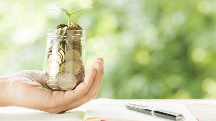 Persona que sosté un pot amb diners i una planta creixent. És una metàfora sobre la relació entre diners i abundància
